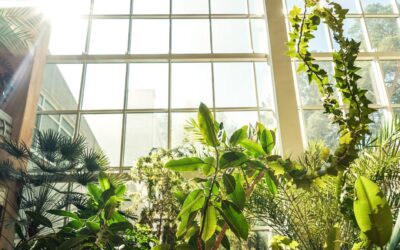 Ventanas Passivhaus: La revolución del confort y la eficiencia con BALUTEC